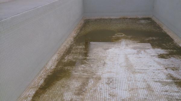 Décapage piscine remplie avec eau de forage, problème d'algue et de calcaire précipité sur parois piscine